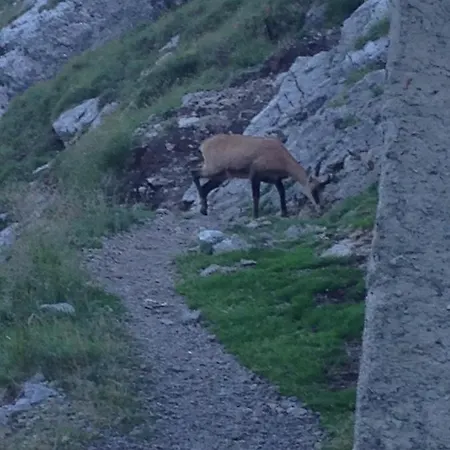 1 Via Stradelli Chalet